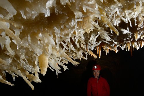 Grotte de la Toussaint (Gard) - Petite salle avec plafond couvert d'excentriques(SP-14-0899)