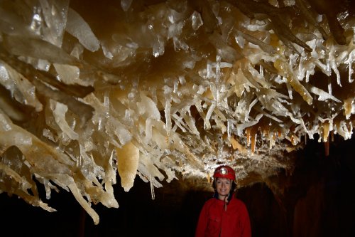 Grotte de la Toussaint (Gard) - Petite salle avec plafond couvert d'excentriques(SP-14-0902)