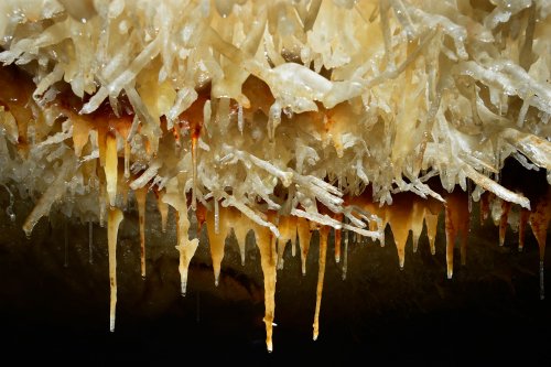 Grotte de la Toussaint (Gard) - Plafond couvert d'excentriques(SP-14-0917)