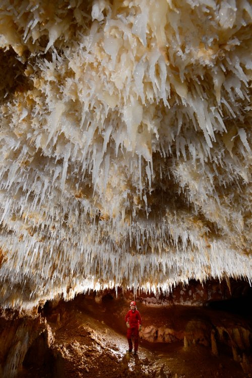 KotalehKhor Cave (Province de Zanjan, Iran) - Galerie avec plafond couvert de fistuleuses translucides(SP-15-0025)