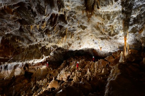 KotalehKhor Cave (Province de Zanjan, Iran) - Grande salle concrétionnée (stalagmite au sol et fistuleuses au plafond)(SP-15-0039)