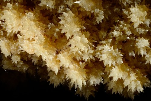 KotalehKhor Cave (Province de Zanjan, Iran) - Cristaux de calcite en dent de cochon dans un gour(SP-15-0064)