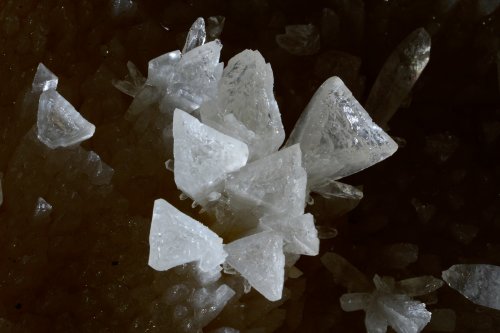 KotalehKhor Cave (Province de Zanjan, Iran) - Fleurs de calcite au sol (cristaux triangulaires)(SP-15-0082)