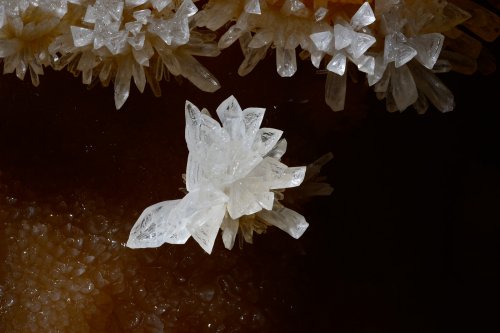 KotalehKhor Cave (Province de Zanjan, Iran) - Fleur de calcite au sol (cristaux triangulaires)(SP-15-0085)