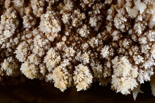 KotalehKhor Cave (Province de Zanjan, Iran) - Cristaux couvant une paroi (témoignant d'une cristallisation en zone noyée)(SP-15-0095)