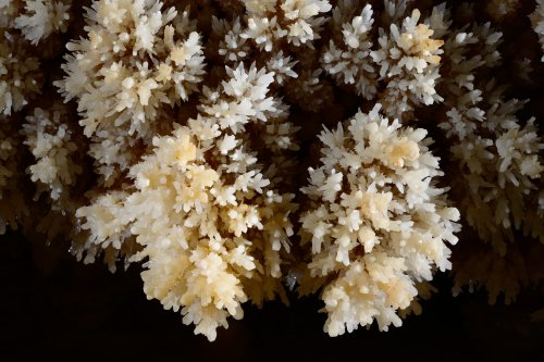 KotalehKhor Cave (Province de Zanjan, Iran) - Détail de cristaux couvant une paroi (témoignant d'une cristallisation en zone noyée)(SP-15-0098)