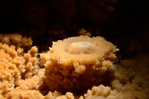 KotalehKhor Cave (Province de Zanjan, Iran) - "Oeu f au plat" (stalagmite avec collerette dans un gour couvert de cristaux de calcite)(SP-15-0105)