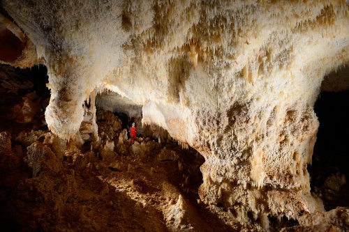 KotalehKhor Cave (Province de Zanjan, Iran) - Grande salle avec parois couvertes de cristaux et fistuleuses au plafond(SP-15-0111)