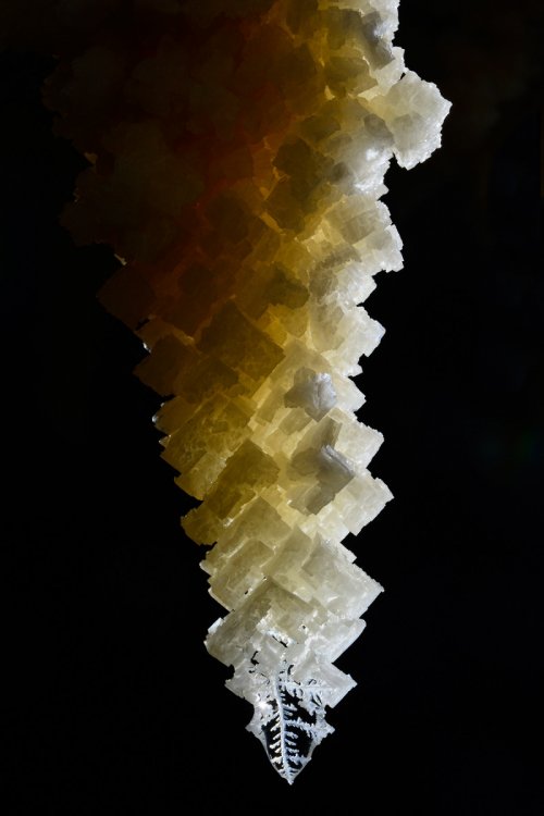3N Cave(Namakdan, Qeshm, Iran) - Détail des cristaux de halite formant une stalactite de sel (la halite est un minéral composé de chlorure de sodium cristallisant dans le système cubique)(SP-15-0216)