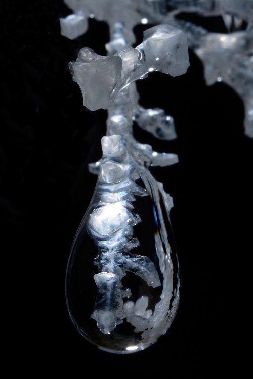 3N Cave(Namakdan, Qeshm, Iran) - Détail d'une goutte d'eau au bout d'une excentrique de sel(SP-15-0250)