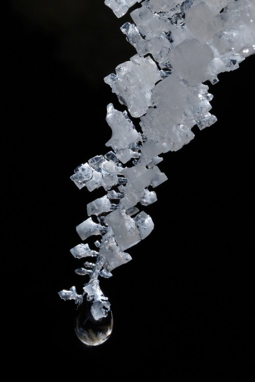 3N Cave(Namakdan, Qeshm, Iran) - Extrémité d'une stalactite de sel avec cristaux de halite(SP-15-0252)