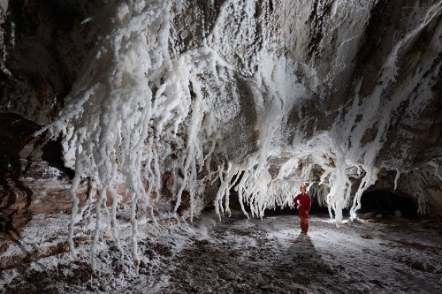 3N Cave(Namakdan, Qeshm, Iran) - Galerie avec bouquets de stalactites massives de sel(SP-15-0257)