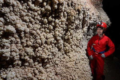 Nakhjir Cave (Delijan, Iran) - Stage de perfectionnement à la photographie souterraine organisé par l'Iran Mountaineering & Sport Climbing Federation - Paroi couverte de cristaux (SP-15-0450)