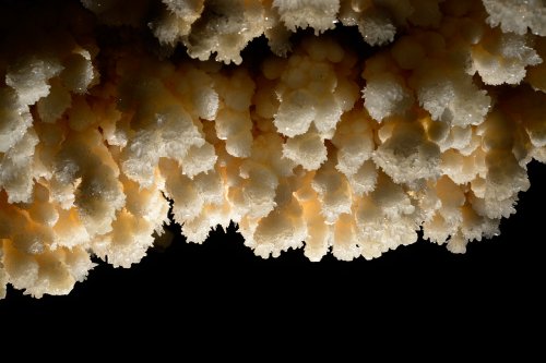 Nakhjir Cave (Delijan, Iran) - Stage de perfectionnement à la photographie souterraine organisé par l'Iran Mountaineering & Sport Climbing Federation - Cristaux au plafond d'une galerie(SP-15-0459)