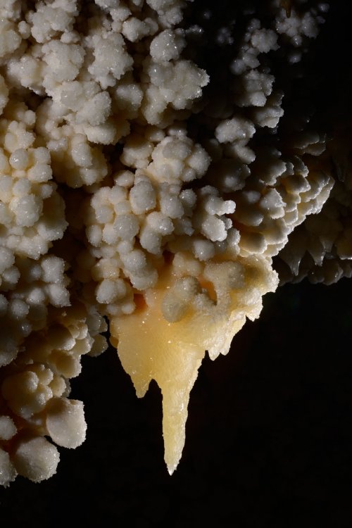 Nakhjir Cave (Delijan, Iran) - Stage de perfectionnement à la photographie souterraine organisé par l'Iran Mountaineering & Sport Climbing Federation - Stalactite sur paroi couverte de cristaux(SP-15-0468)