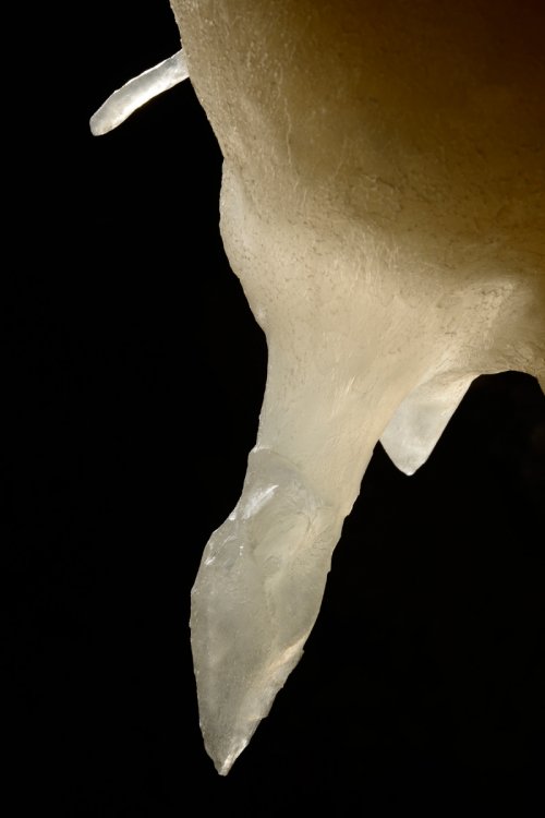 Nakhjir Cave (Delijan, Iran) - Stage de perfectionnement à la photographie souterraine organisé par l'Iran Mountaineering & Sport Climbing Federation - Monocristal de calcite(SP-15-0474)