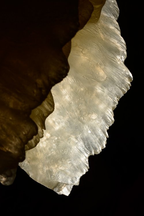 Nakhjir Cave (Delijan, Iran) - Stage de perfectionnement à la photographie souterraine organisé par l'Iran Mountaineering & Sport Climbing Federation - Petite draperie translucide en contre jour(SP-15-0475)