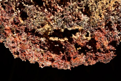 Sima de la Higuera (Pliego, Région de Murcia, Espagne) - Cristallisations sur les parois(SP-15-0544)