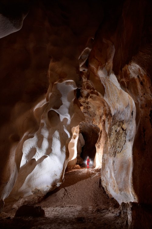 Cueva del Puerto (Calasparra, Région de Murcia, Espagne)- Galerie de la grande diaclase(SP-15-0565)