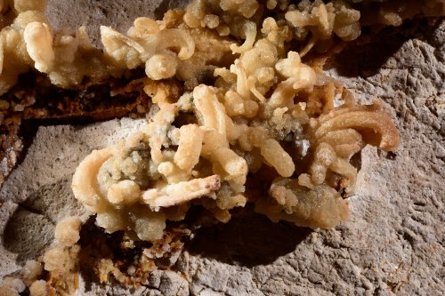 Cueva del Puerto (Calasparra, Région de Murcia, Espagne) - Concrétions de gypse sur les parois témoignant d'apports par des eaux sulfureuses a priori profondes(SP-15-0567)