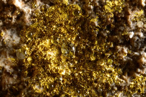 Atak Cave (Pinarbasi - Turquie) : goutte d'eau sur dépôts biologiques(SP-15-1004)