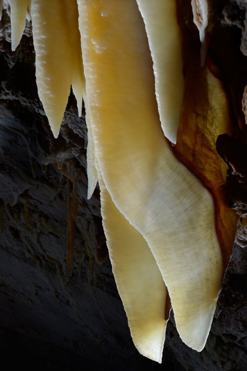 Avenc Canal de Comafreda (Majorque, Baléares, Espagne) - Draperies(SP-15-1232)