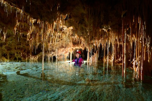 Cova des Pas de Vallgornera (Majorque, Baléares, Espagne) - Réseau concrétionné envahi par l'eau. (SP-15-1271)