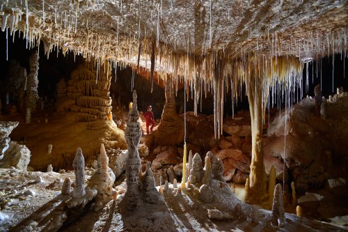 Cova des Pas de Vallgornera (Majorque, Baléares, Espagne) - Concrétions dans la "Sala Que no te nom".(SP-15-1294)