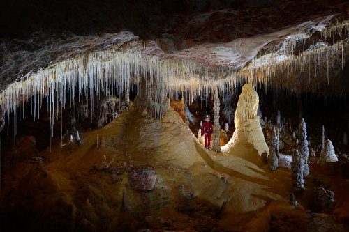 Cova des Pas de Vallgornera (Majorque, Baléares, Espagne) - - Concrétions dans la "Sala Que no te nom".(SP-15-1304)