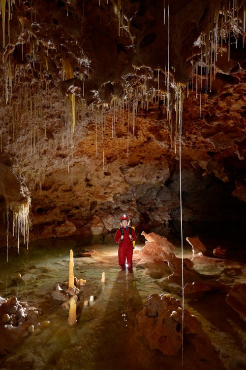 Cova des Pas de Vallgornera (Majorque, Baléares, Espagne) - Galeria des Espelotemes(SP-15-1315)