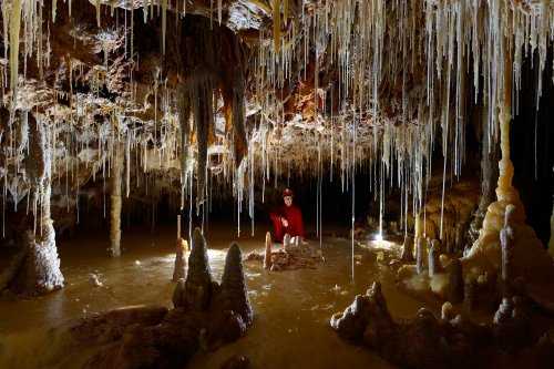 Cova des Pas de Vallgornera (Majorque, Baléares, Espagne) - petite salle concrétionnée dans la Galeria des Espelotemes(SP-15-1324)