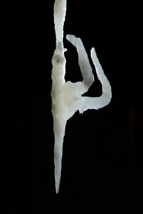 Cova des Pas de Vallgornera (Majorque, Baléares, Espagne) - "Les cornes de chèvre" (Galeria des Espelotemes) (SP-15-1327)