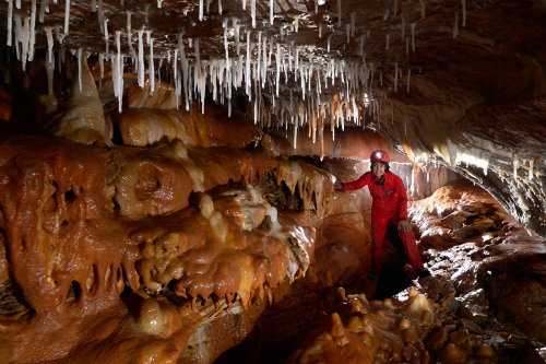 Grotte de l'Ascension (Hérault) - Spéléo dans galerie concrétionnée avec coulées de calcite sur les parois et fistuleuses au pla(SP-16-0175)
