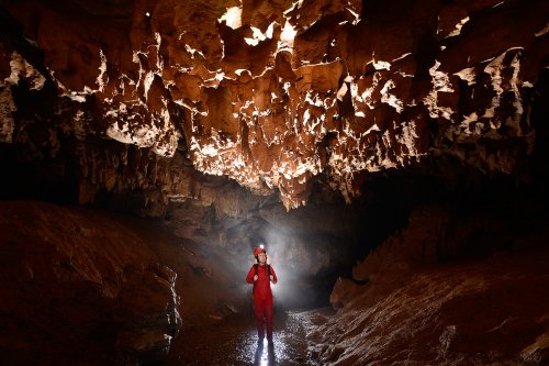 Grotte de l'Ascension (Hérault) - Spéléo dans galerie avec lapiaz de voûte(SP-16-0179)