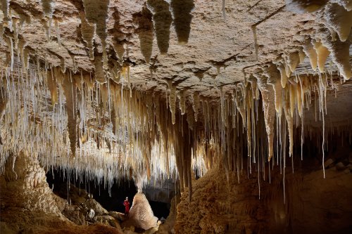 Hollow Hill Cave (Nouvelle Zélande) - Salle concrétionnée avec longues fistuleuses (spéléo en fond)(SP-17-0887)
