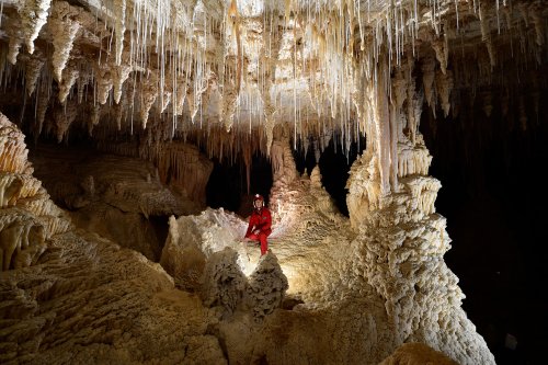 Hollow Hill Cave (Nouvelle Zélande) - Petite alcôve concrétionnée(SP-17-0893)