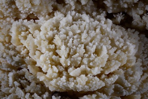 Hollow Hill Cave (Nouvelle Zélande) - Fleur constituée de cristaux de calcite(SP-17-0903)