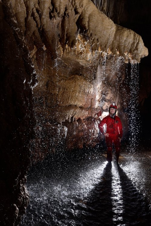 Waipuna Cave (Nouvelle Zélande) - Spéléo sous cascatelle dans une rivière souterraine(SP-17-0945)