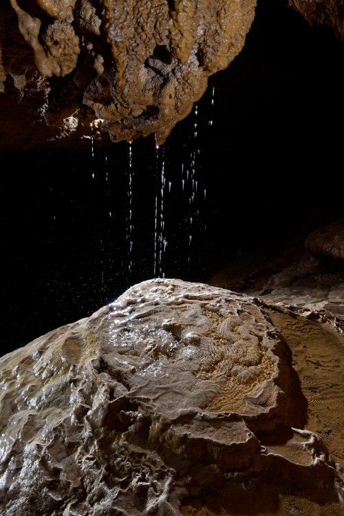 Waipuna Cave (Nouvelle Zélande) - Filets d'eau arrivant sur un petit bassin calcifié(SP-17-0969)