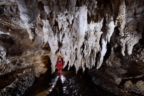 Waipuna Cave (Nouvelle Zélande) - Ensemble de grandes stalactites massives surplombant une rivière souterraine(SP-17-0977)