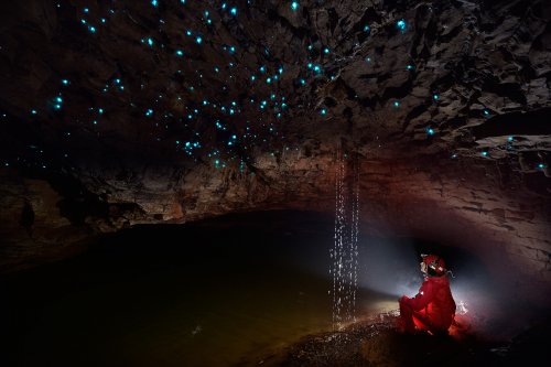 Spellbound cave (Mangawhitikau glowworm cave) - Plafond couvert de "Glowworms" (vers luisants) au dessus d'une rivière avec spéléo premier plan (SP-17-0980)