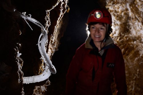 Puketiti Flower Cave (Nouvelle Zélande) - Crosse de gypse avec spéléo en arrière plan(SP-17-1017)