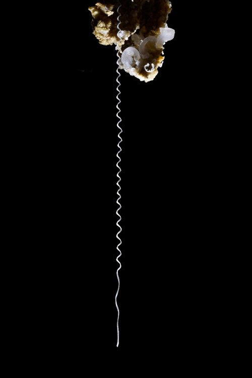 Puketiti Flower Cave (Nouvelle Zélande) - Concrétion de gypse unique en forme de ressort (détail de la partie inférieure)(SP-17-1024)