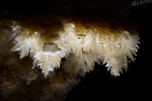 Puketiti Flower Cave (Nouvelle Zélande) - Cristaux de gypse(SP-17-1065)