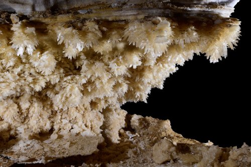 Puketiti Flower Cave (Nouvelle Zélande) - Paroi couverte de cristaux de gypse(SP-17-1073)