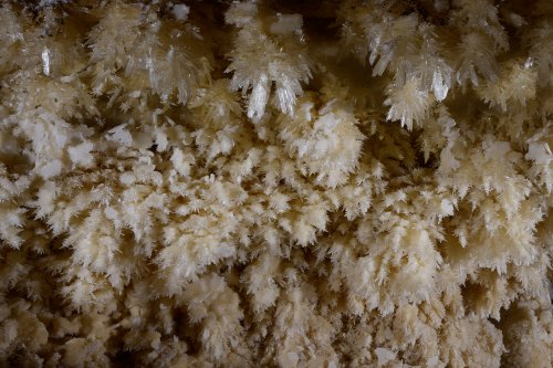 Puketiti Flower Cave (Nouvelle Zélande) - Détail de cristaux de gypse(SP-17-1075)