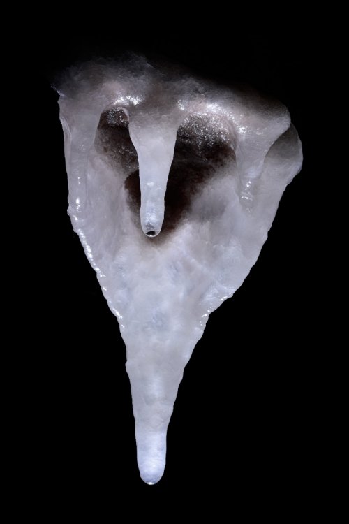 Barralong Cave (Jenolan Karst Conservation Reserve, Australie) - Détail de stalactite avec petite draperie translucide(SP-17-1102)