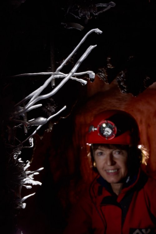 Barralong Cave (Jenolan Karst Conservation Reserve, Australie) - Spéléo regardant deux fines excentriques translucides(SP-17-1105)