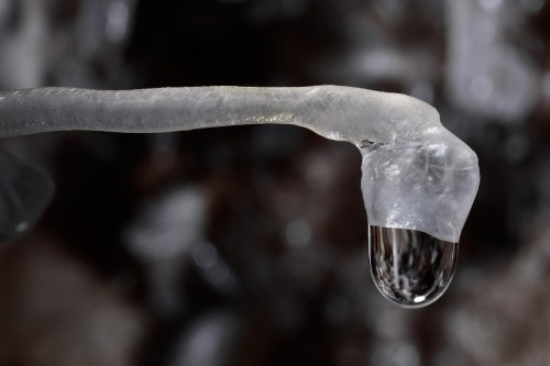 Jenolan Cave (Jenolan Karst Conservation Reserve, Australie) - Goutte d'eau à l'extrémité d'une excentrique horizontale(SP-17-1116)