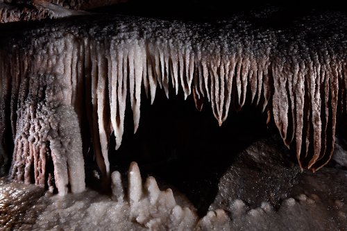 Barralong Cave (Jenolan Karst Conservation Reserve, Australie) - Ensemble de stalactites et stalagmites(SP-17-1129)